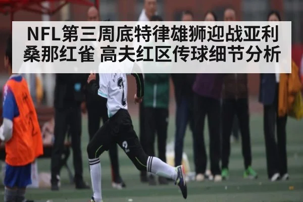 NFL第三周底特律雄狮迎战亚利桑那红雀 高夫红区传球细节分析